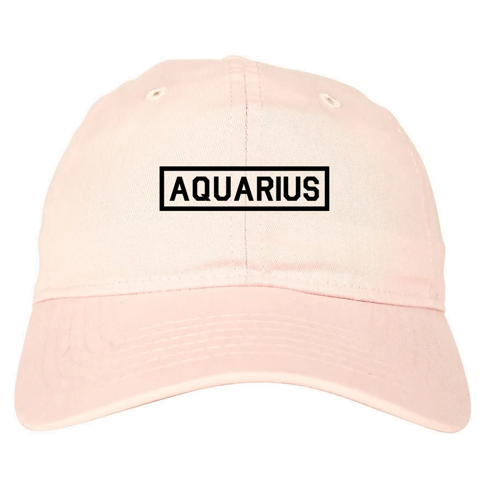 Aquarius Horoscope Sign Mens Dad Hat Baseball Cap