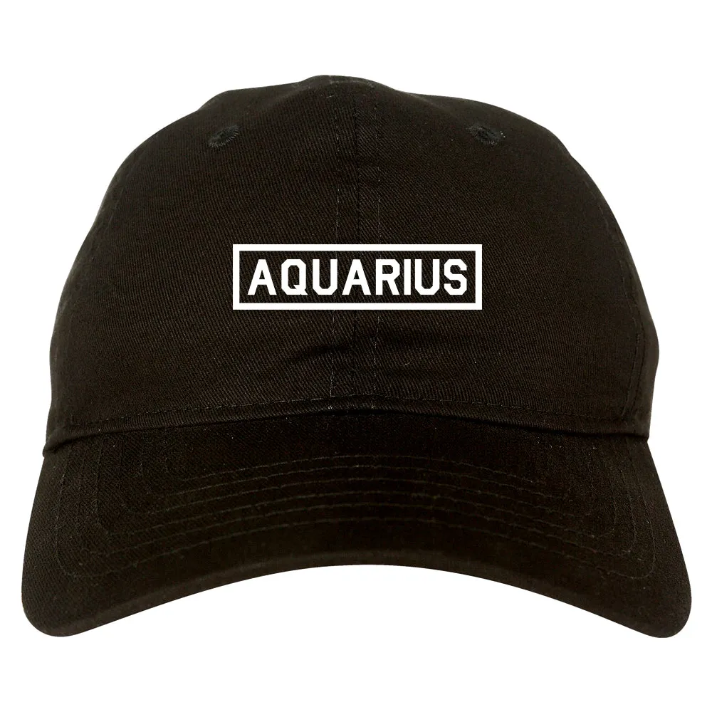 Aquarius Horoscope Sign Mens Dad Hat Baseball Cap