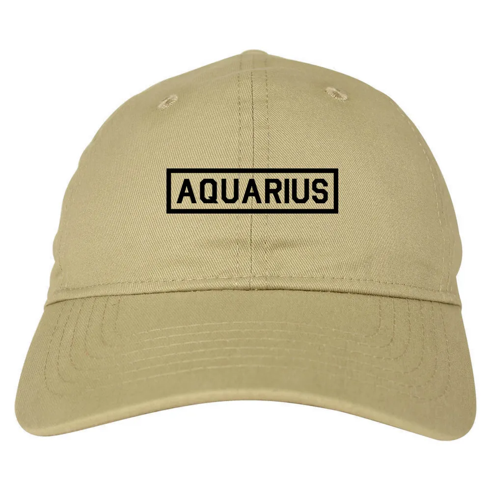 Aquarius Horoscope Sign Mens Dad Hat Baseball Cap