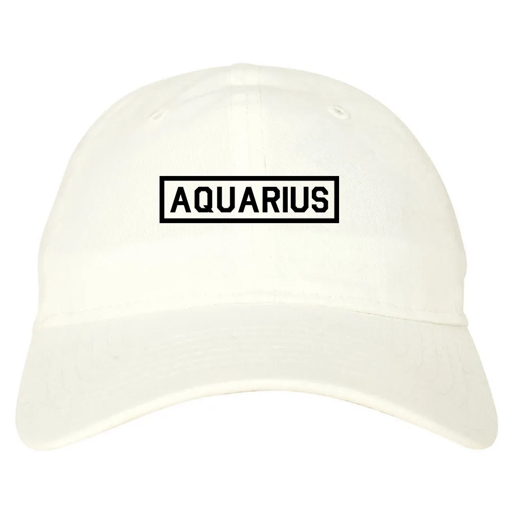 Aquarius Horoscope Sign Mens Dad Hat Baseball Cap