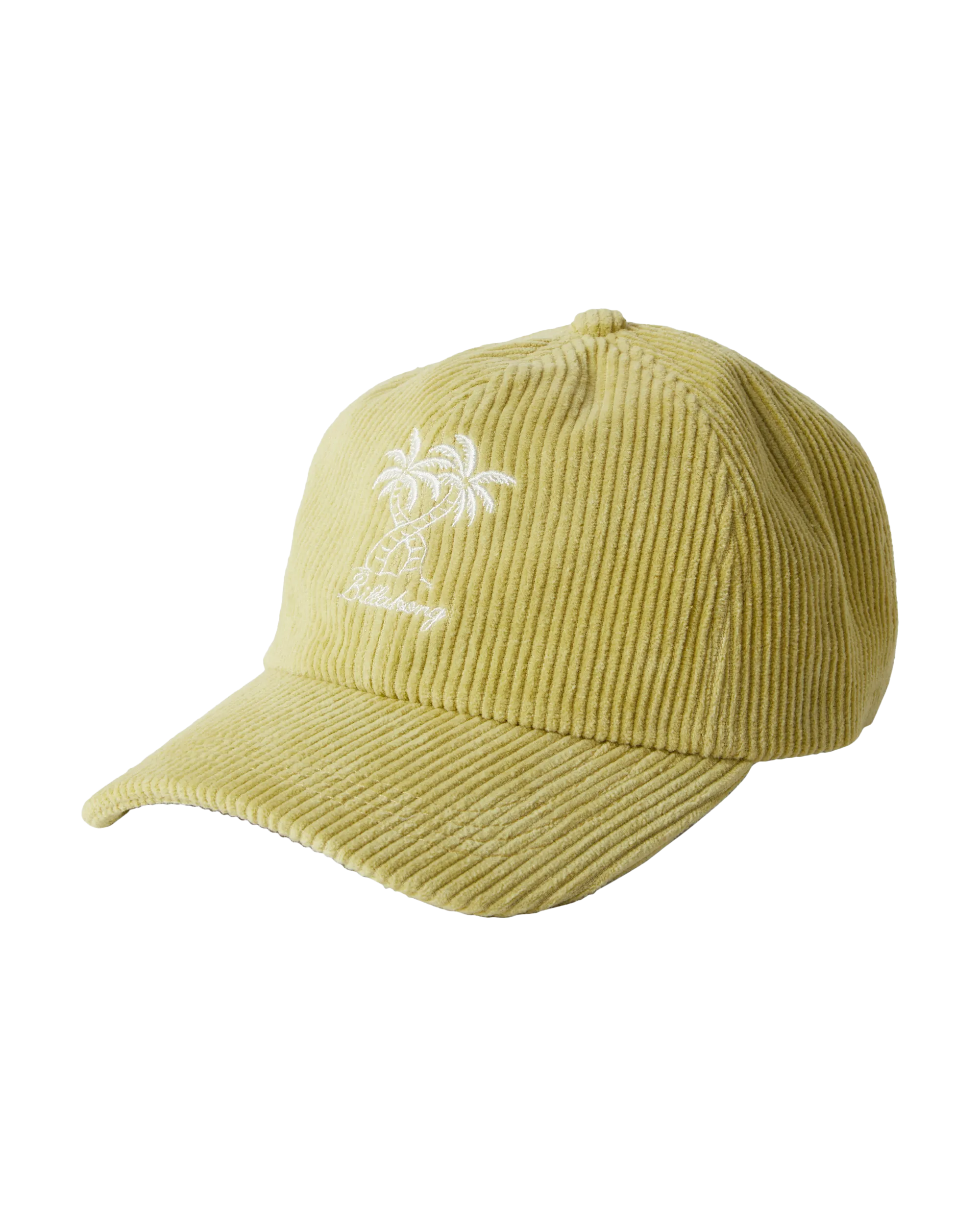 Dad Cap in Limelight